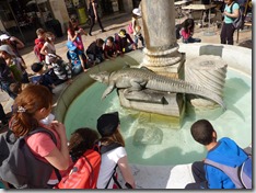 Camargue (106)