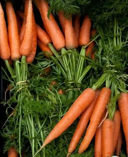 IMG_20220531_223611-1654016865920 গাজরের উপকারিতা ও পুষ্টিগুণ - Benefits And Nutritional Value Of Carrots