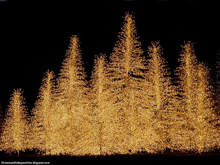 Christmas Lightings HD Desktop Wallpapers