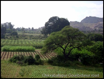 Chikkaballapur-Gouribidanur road