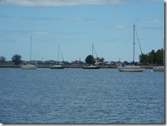 DSCN6214
