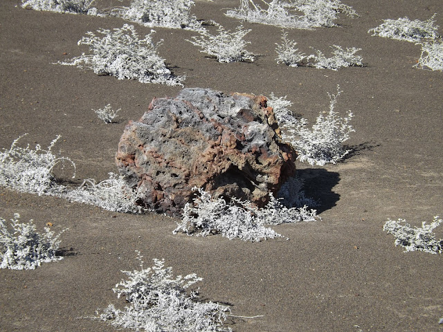 Isla Bartolomé, Islas Galápagos