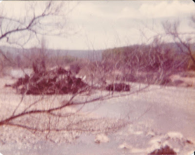 Verde River - Tickaboo Ranch - Camp Verde, Arizona