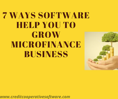 Software Help You to Grow Microfinance Business