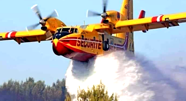 اخنوش ارحل /  المختصر | المغرب يواصل التصدي لحرائق الغابات ويعزز أسطول طائرات الإطفاء  / akhannouch degage