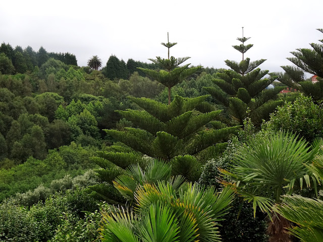 Jardines Panrico