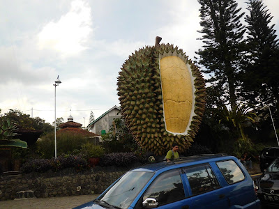 Warso Durian Farm 