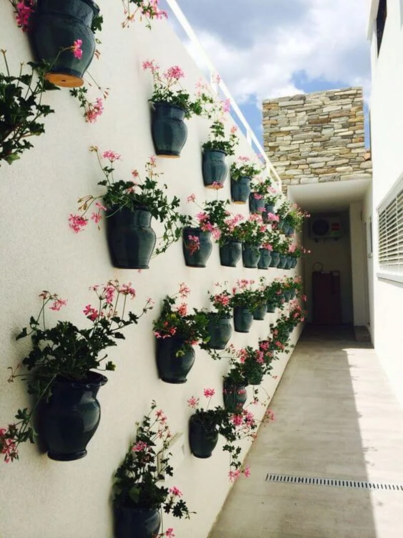 Jardim Vertical: Como criar um jardim de parede na sua casa