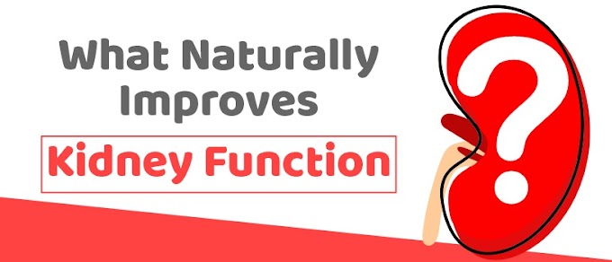 What Naturally Improves Kidney Function?