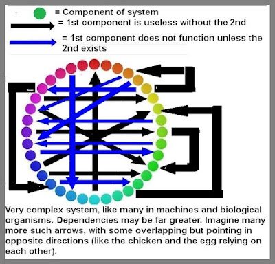 protein cross-dependencies