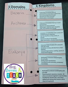 3 scientific domains and 6 kingdoms interactive notebook foldable.  Differentiated fill-in-the-blank.