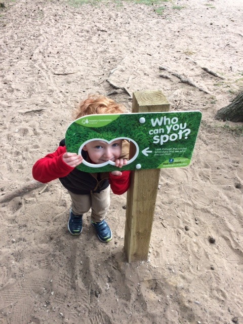 Little boy peeking through a sign that says 'who can you spot?'