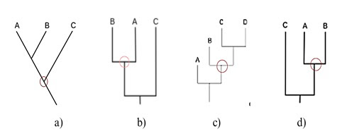 Quizzes de Raciocínio Lógico, Analógico e Matemático - Mundo Simples