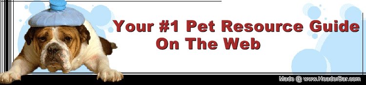 Your #1 Pet Resource Guide on the Web