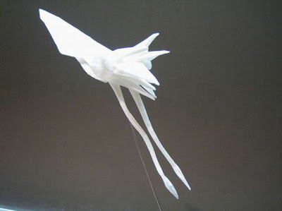 Paper Origami