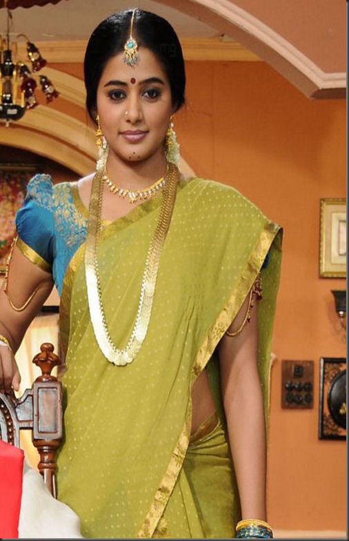 Kshetram Movie Priyamani Stills