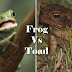 What is the Difference between Frog and Toad
