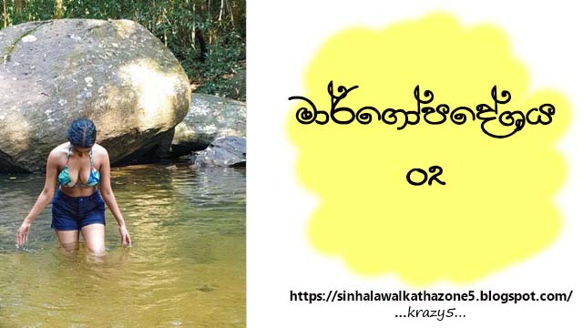 Margopadeshaya | මාර්ගෝපදේශය 02