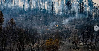 اخماد حرائق غابات خنشلة يوم 09 جويلية 2021