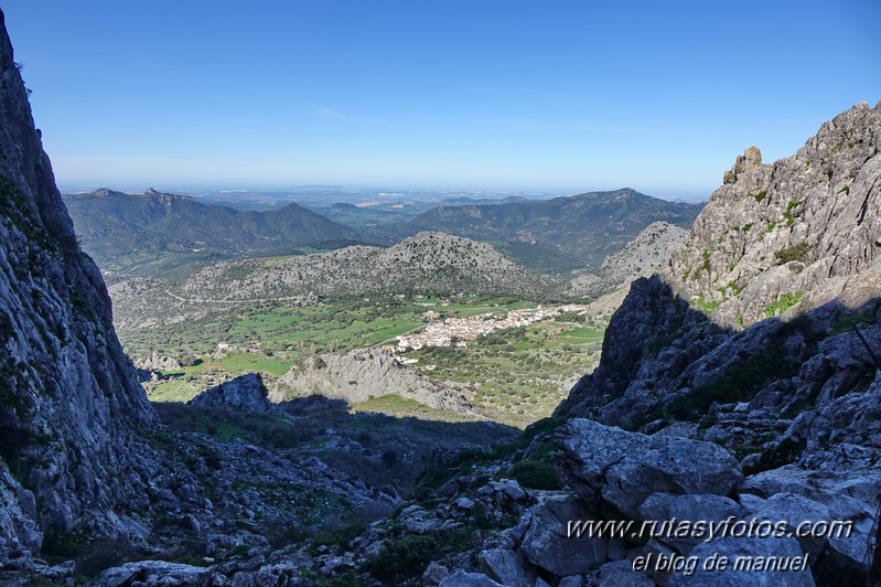 Caillo - Cintillo desde Benaocaz