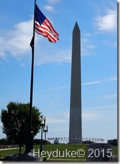 DSCN4360