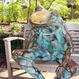 Frog at the Atlanta Botanical Garden