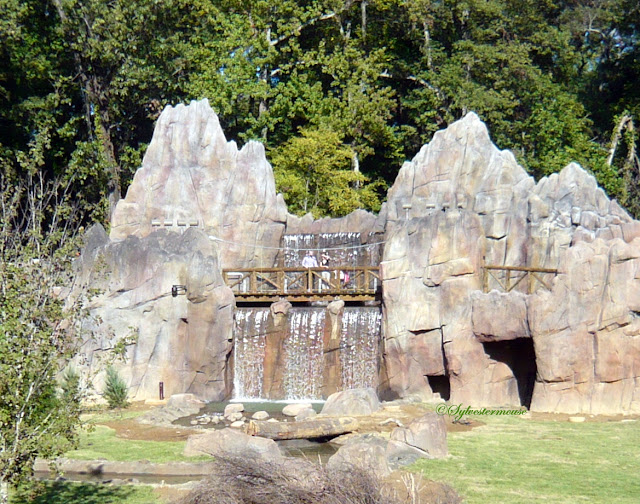 waterfall in the grizzly bear enclosure at the Memphis zoo