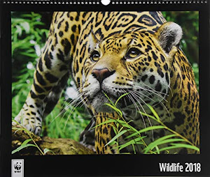 WWF Wildlife 2018: Jahreskalender