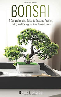 Zen Buddhism and bonsai