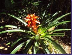 DSC05256_800x600