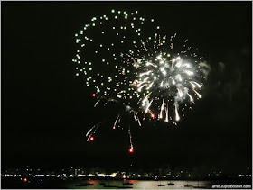 Fuegos Artificiales desde Fan Pier Park de Boston