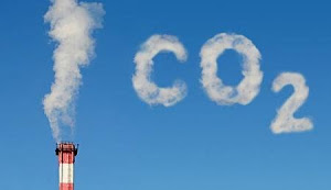 Sustainable Tallahassee Community Carbon Fund