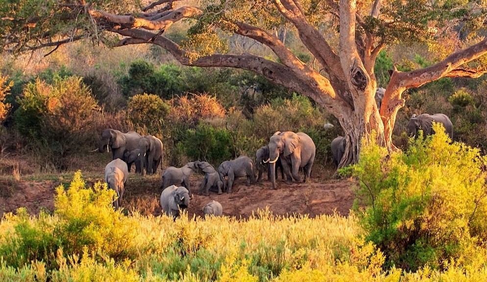 30 Best Places to Visit in Southern Africa Safaris