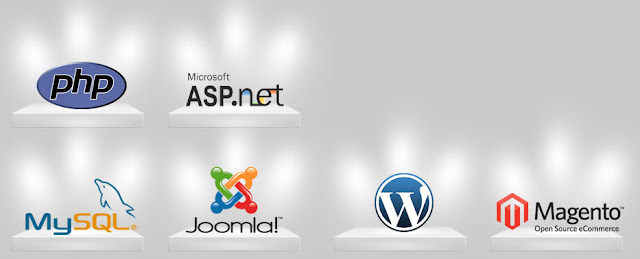 Affordable Web development company in Canada, Web Development Services provider in Canada