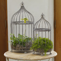 Metal Birdcage