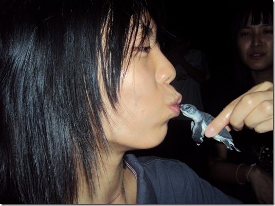 DSC01243