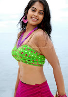 Bindhu, madhavi, latest, hot, navel, images