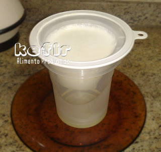 Kefir Alimento Probiótico