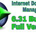 Internet Download Manager 6.31 Build 8 Full Version