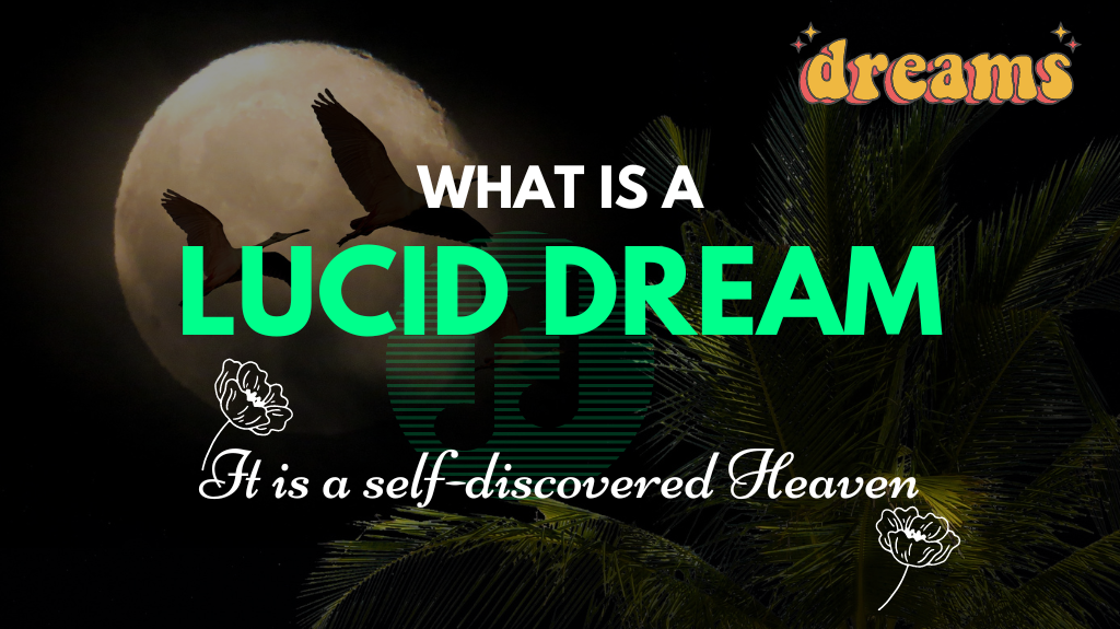 What is a Lucid Dream?