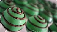 mint sticks dipped in chocolate Day 8/365: old fashioned soft
peppermint sticks dipped in chocolate