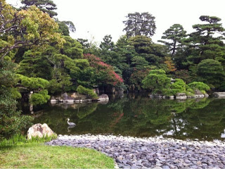 lo scorcio sullo specchio d'acqua con gli alberi sullo sfondo