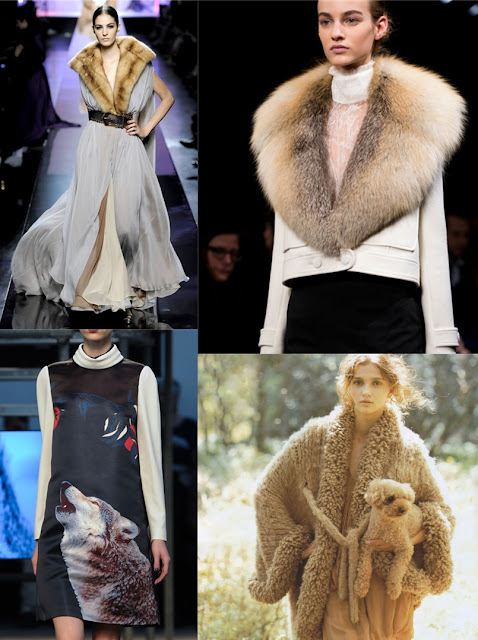 Game-of-thrones-fashion-house-stark