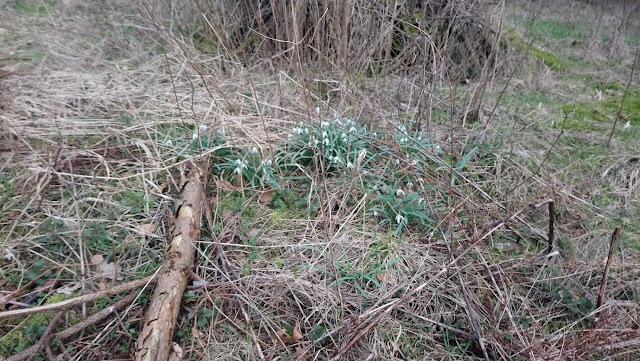 Sauerland wandern Wetter blog Eslohe Homert