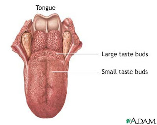 Myhealth-information.blogspot.com