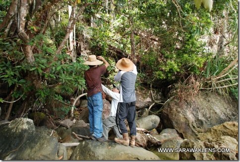 hiking_in_Santubong_29