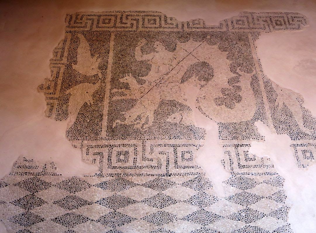 Paphos mosaics. Мозаики Пафоса