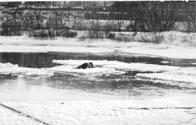 A photograph of a figure slumped on a floating piece fo ice.