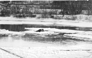 A photograph of a figure slumped on a floating piece fo ice.