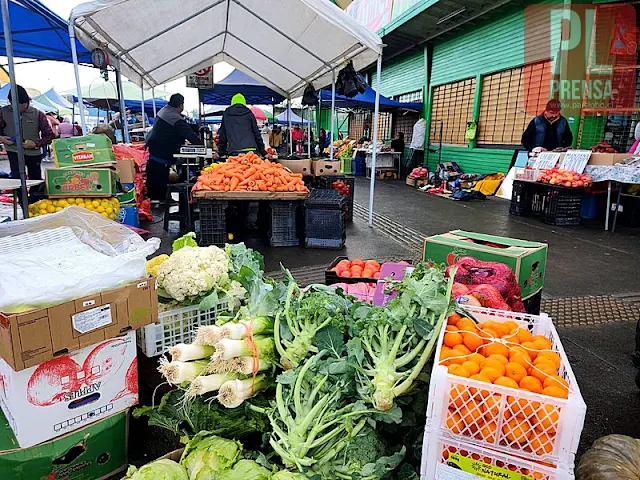 Ruta de las Ferias: sábado 27 de enero - Feria "PAC" Osorno